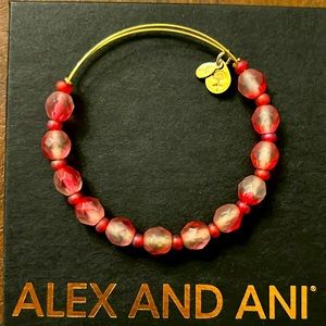 Alex and Ani vintage beaded bracelet.